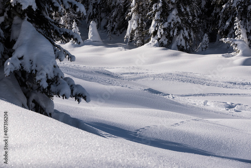 un bel paesaggio invernale, il bosco e le montagne coperte dalla neve, il manto di neve rende il paesaggio morbido, un deserto di neve. © giovanni