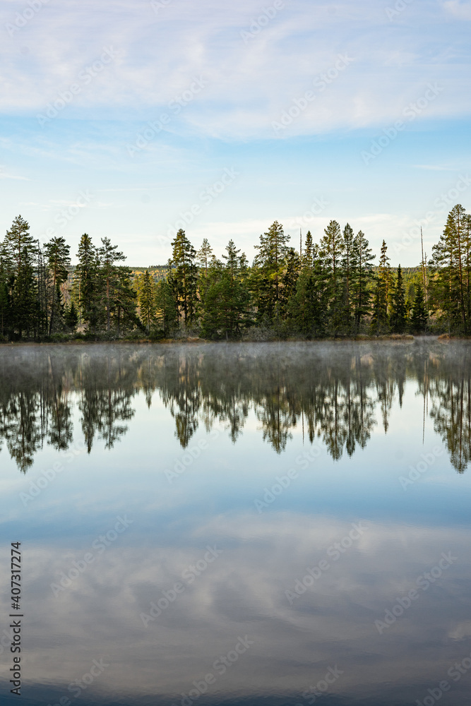 Reflections from trees in a swedish lake