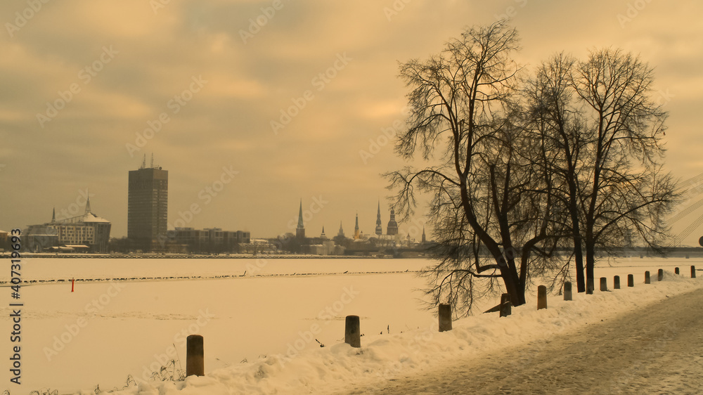 Riga. panorama of the city on a cloudy winter day,in the foreground trees near the stone road