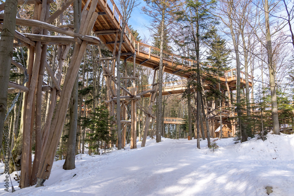 Wooden path of observation tower amogns the trees