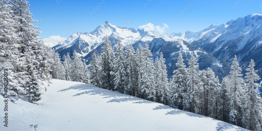 Panorama einer schönen Winterlandschaft mit verschneitem Wald in den Alpen