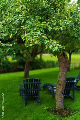 bench in the park and green trees. 