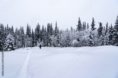 Person walking through snowy, snow covered winter wonderland landscape in northern Canada with icy trail, spruce trees and cloudy day above, 