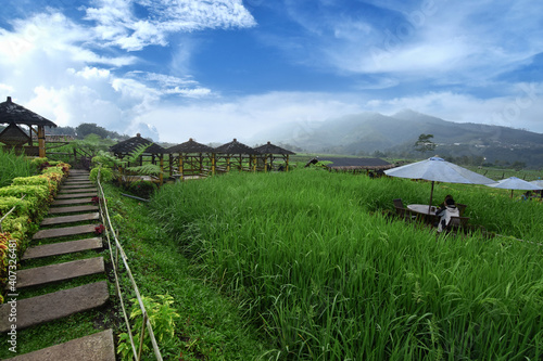 Cafe in the middle of rice fields with beautiful natural scenery in Pujon, Malang, Indonesia photo