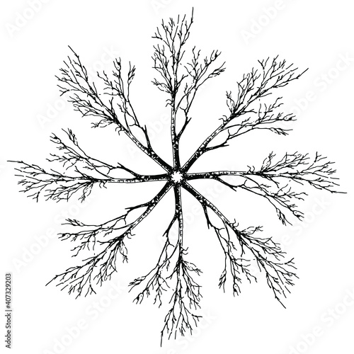 Round floral decor or mandala with hand drawn silhouettes of bare trees or naked branches.