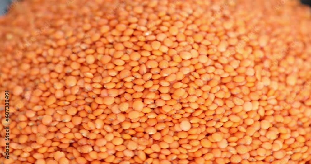 Dry Raw Red Lentils Rotating closeup shoot Dry Raw Red Lentils Rotating closeup shoot