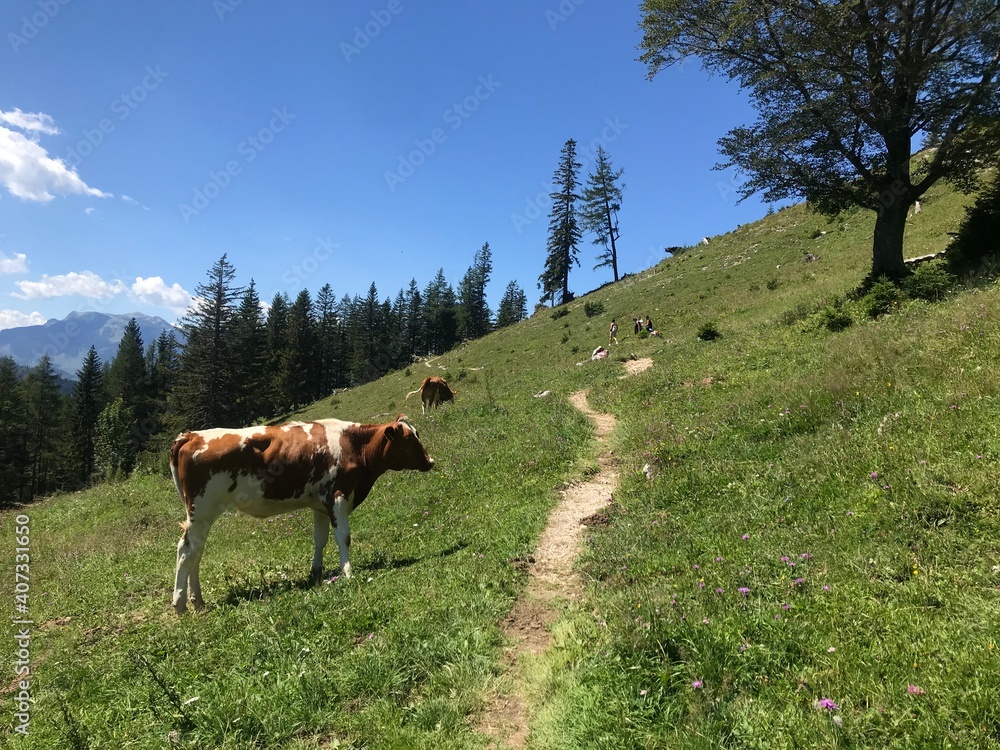 In den Bergen In den Bergen