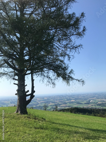 Landschaft