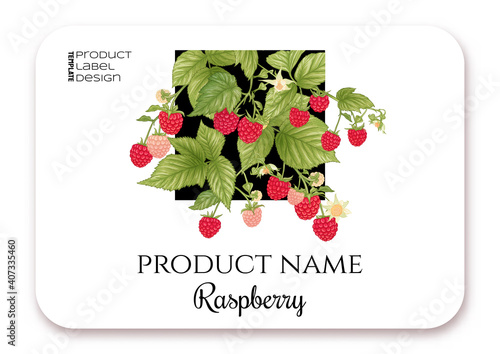 Raspberry. Ripe berries on branch. Template for product label, cosmetic packaging. Easy to edit. Graphic drawing, engraving style. Vector illustration..