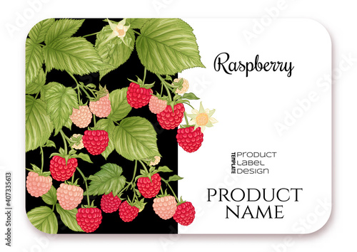 Raspberry. Ripe berries on branch. Template for product label, cosmetic packaging. Easy to edit. Graphic drawing, engraving style. Vector illustration..