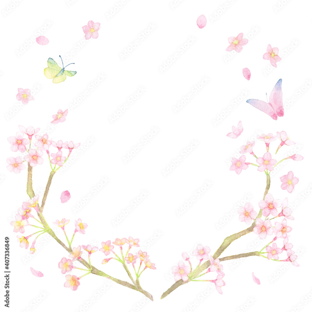 ＜フレーム素材＞水彩画で描かれた、桜と蝶が舞う丸フレーム