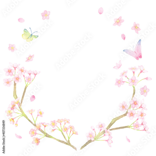 ＜フレーム素材＞水彩画で描かれた、桜と蝶が舞う丸フレーム