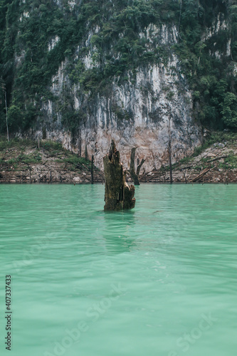 Beautiful minimalistic scene with dead tree and reflection in water and timber in turquoise water At Ratchaprapa dam, khao sok national park in surat thani southern of thailand.