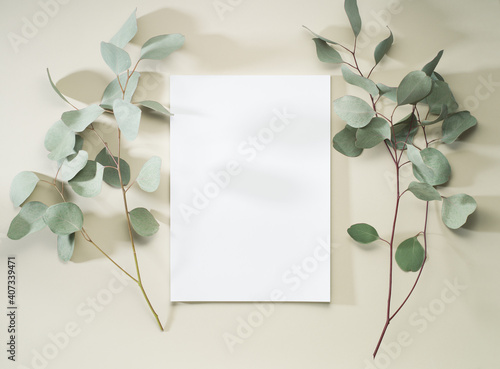 paper sheet with eucalyptus photo