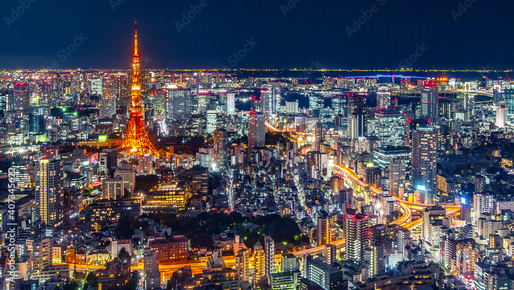 view of the city Tokyo Japan