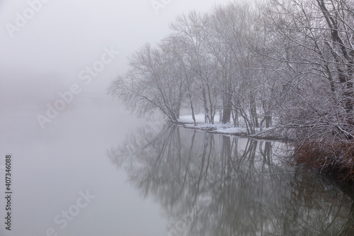 Icy trees reflect in water on a foggy winter morning