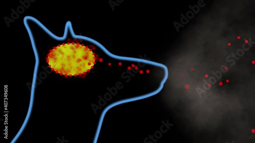 Dog inhaling molecules through nose . Scent molecules entering nasal passage of canine. Odor Particles flowing into  brain.  3d animation rendering photo