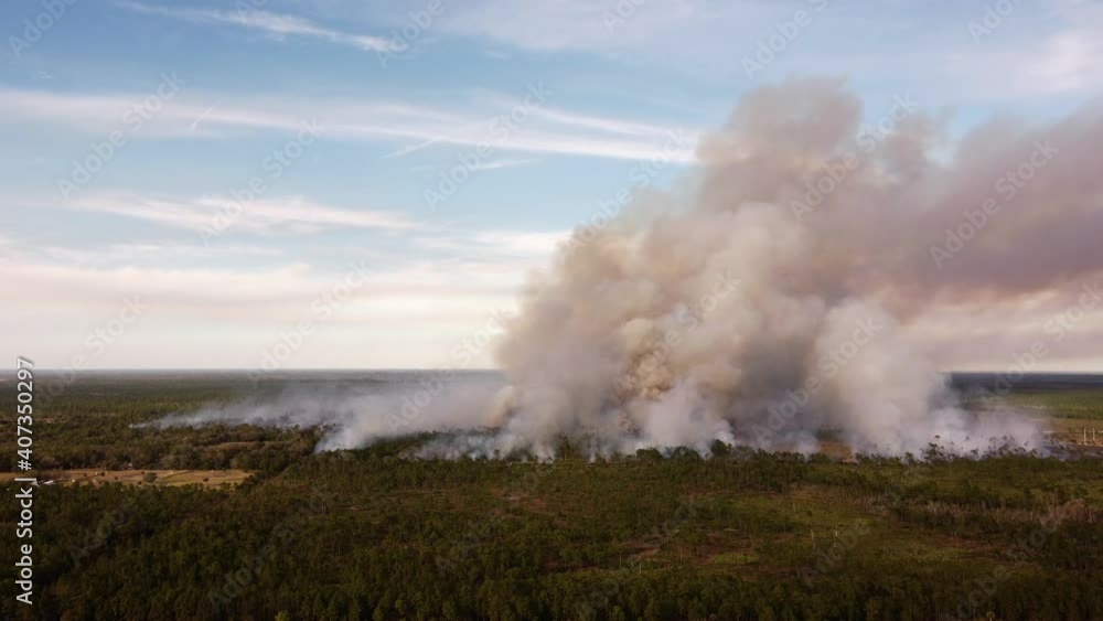 Preventing forest fires by controlled burn aerial drone footage Preventing forest fires by controlled burn aerial drone footage