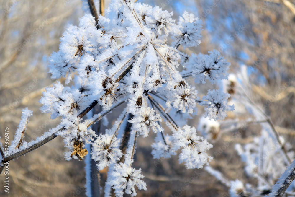 twig frost cover twig frost cover