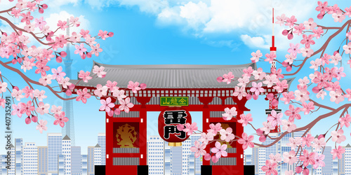 東京　桜　春　背景