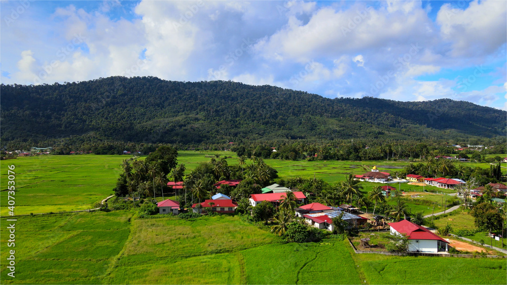 Beautiful village surrounded  by paddy field and montain.