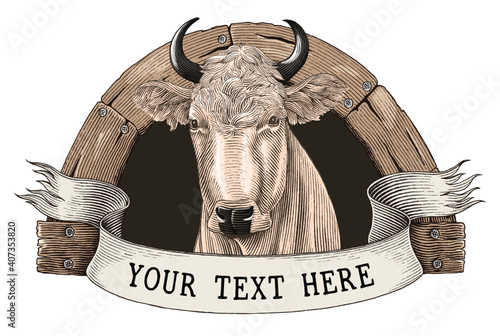 Cow farm logo hand draw vintage engraving style clip art isolated on white background