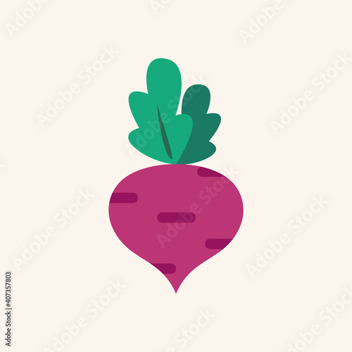Fresh beet with leaf. Natural Root. Vegetable Ingredient for food