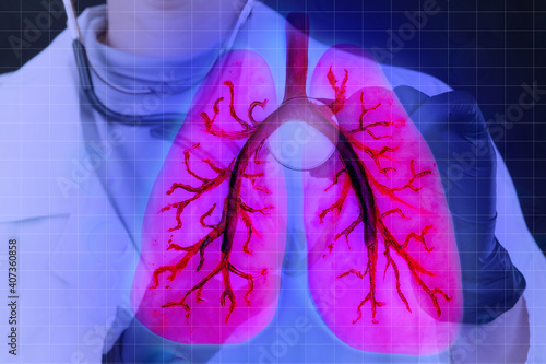 Lungs on doctor virtual scr...