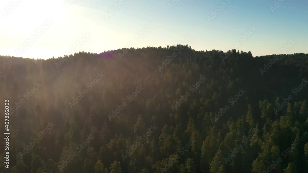 The Wonderful Coastal Redwood Forest In California Background With Bright Sky - Aerial Shot The Wonderful Coastal Redwood Forest In California Background With Bright Sky - Aerial Shot
