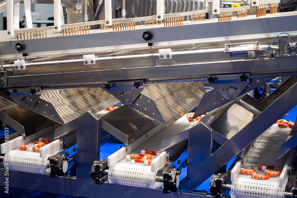 Shrimp conveyor. Equipment for seafood processing. Сonveyor for processing of seafood