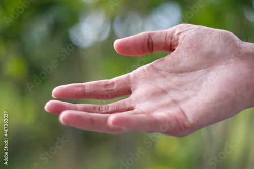 hand holding a leaf © Hadi
