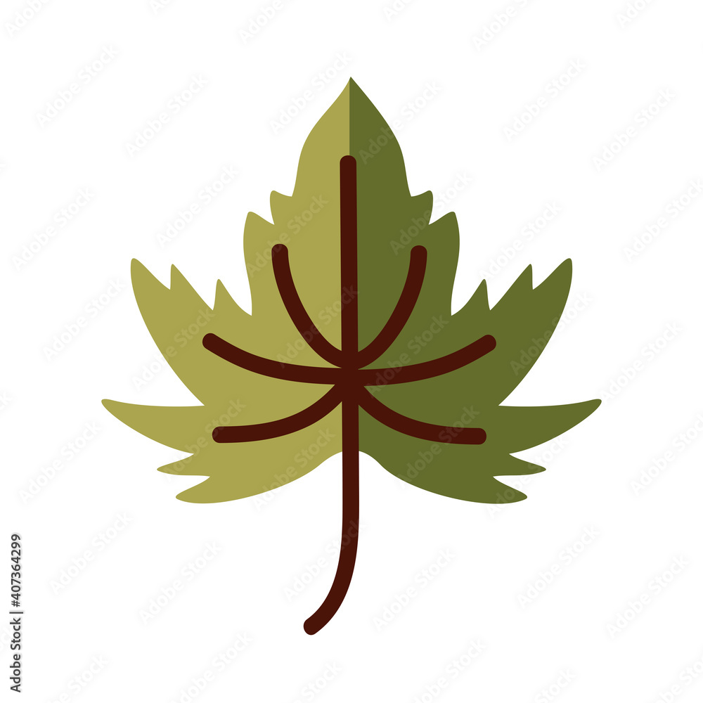 maple leaf line and fill style icon vector design maple leaf line and fill style icon vector design