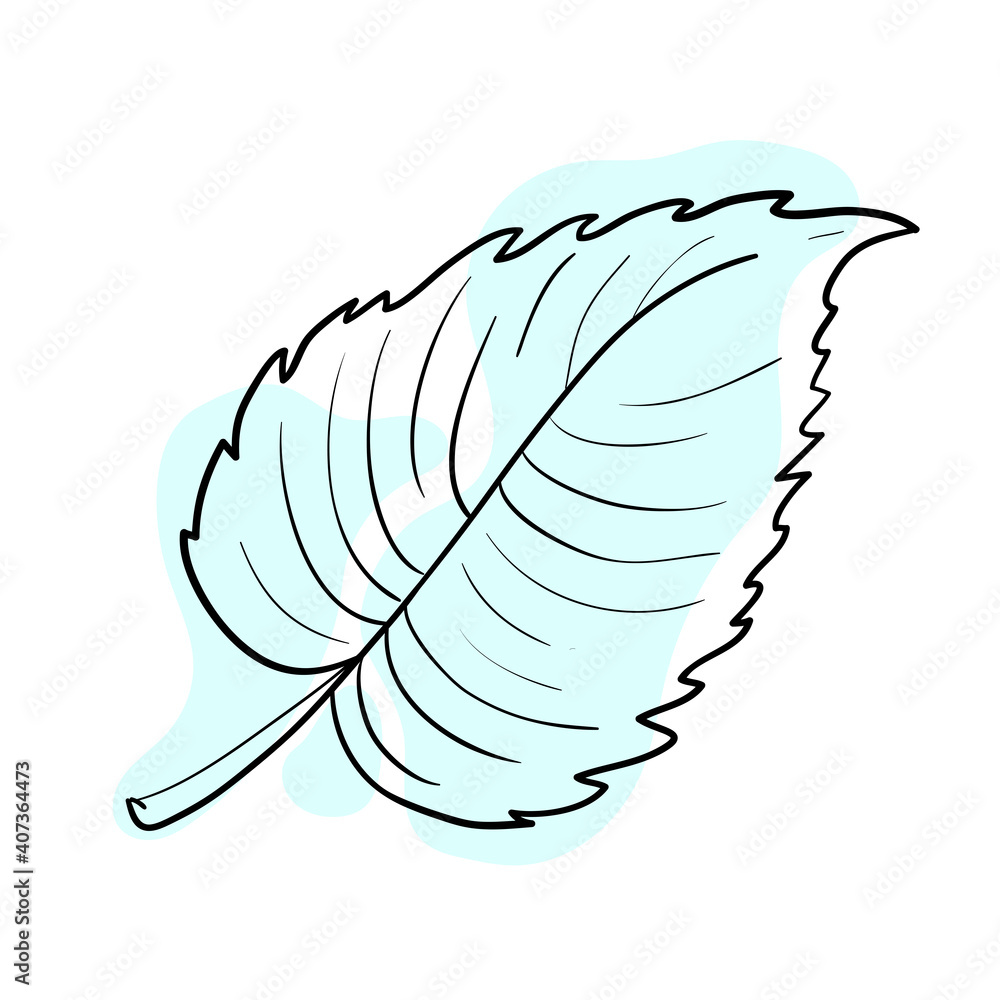 Stylish and beautiful line art. Tree leaf, nature and ecology. Stylish and beautiful line art. Tree leaf, nature and ecology.