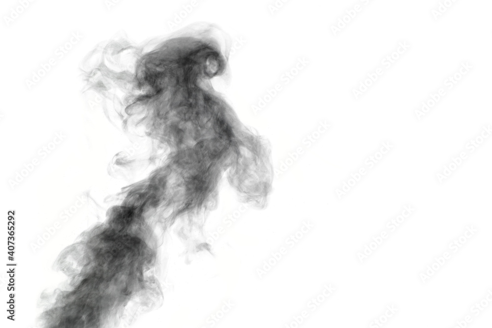 Curly smoke, smog, looks like a black bird on a white background, copy space, close-up. Inverted frame. Abstract background, design element, for superimposing on images