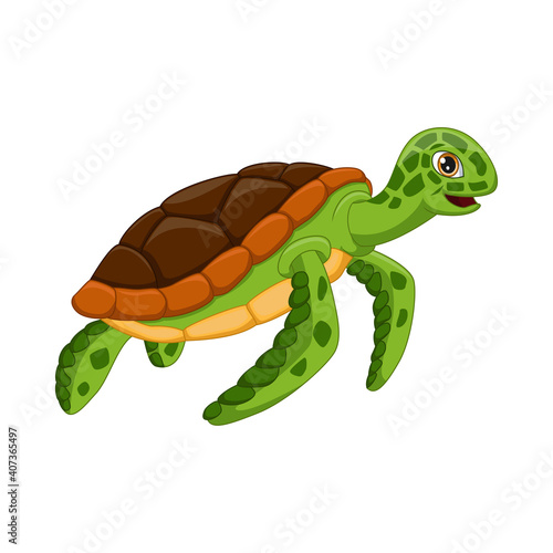 Cartoon turtle on white background