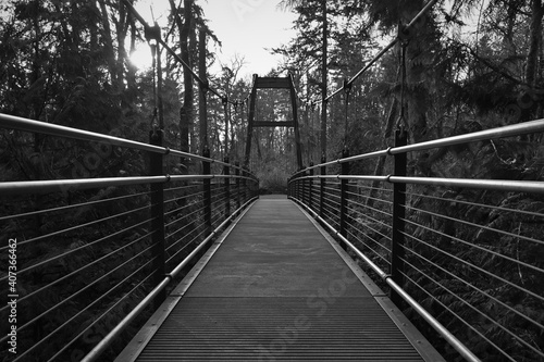 Suspension bridge in the forest