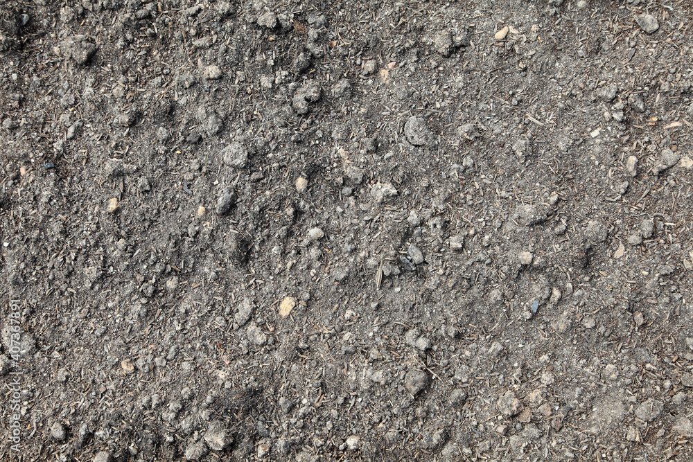 Background from fertile soil in garden Background from fertile soil in garden