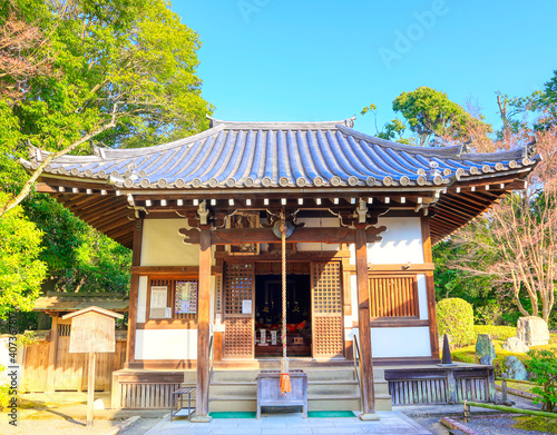 京都、御寺泉涌寺の風景