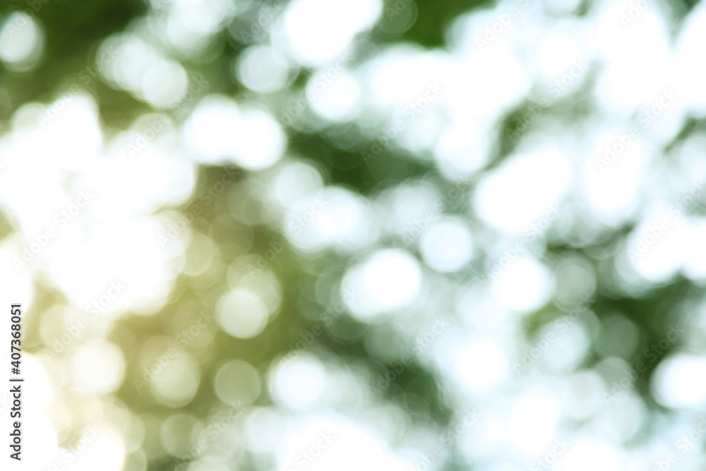 Obraz premium Blur background from tree and sky