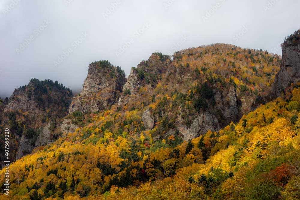 秋の層雲峡の柱状節理と紅葉の木々 秋の層雲峡の柱状節理と紅葉の木々
