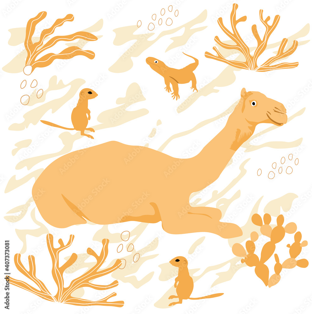 Vector stock illustration of dromedar. Camel close-up. An Eastern animal that lives in the desert. Arabic traditional transport. isolated on a white background. Ships of the desert Vector stock illustration of dromedar. Camel close-up. An Eastern animal that lives in the desert. Arabic traditional transport. isolated on a white background. Ships of the desert