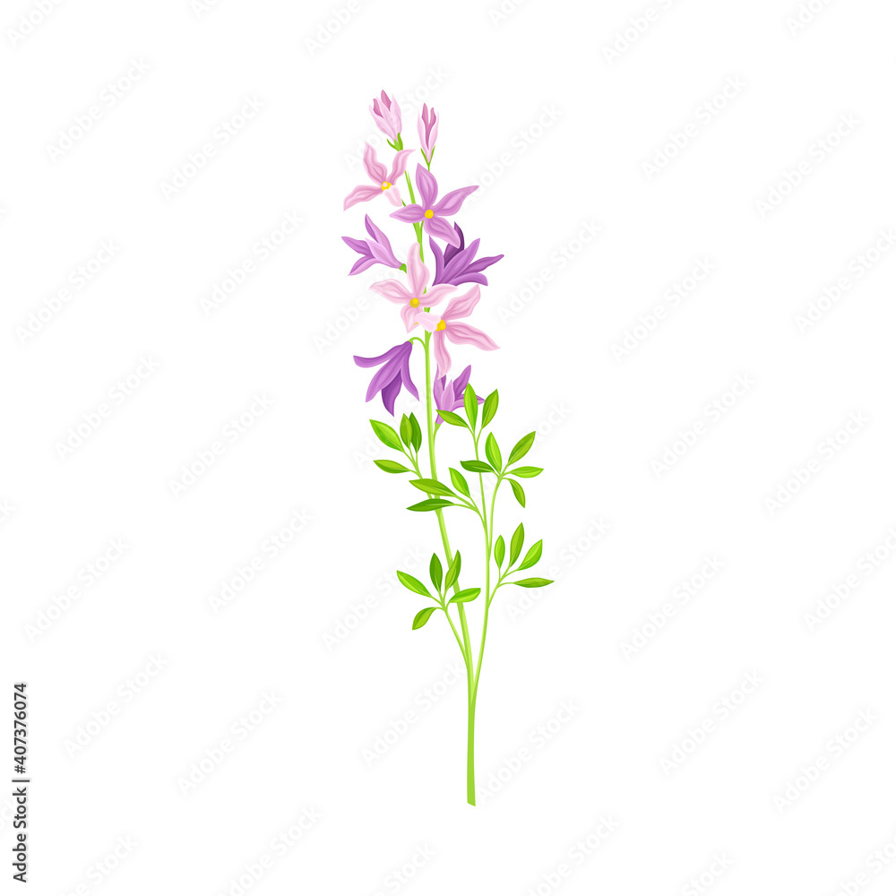 Flower Stem or Stalk with Violet Florets as Meadow or Field Plant Vector Illustration Flower Stem or Stalk with Violet Florets as Meadow or Field Plant Vector Illustration