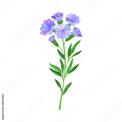 Blue Flowers on Stem or Stalk as Meadow or Field Plant Vector Illustration