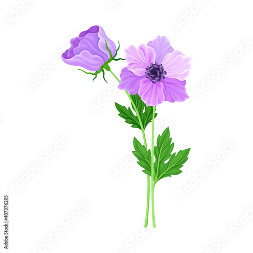Violet Flower on Stem or Stalk as Meadow or Field Plant Vector Illustration