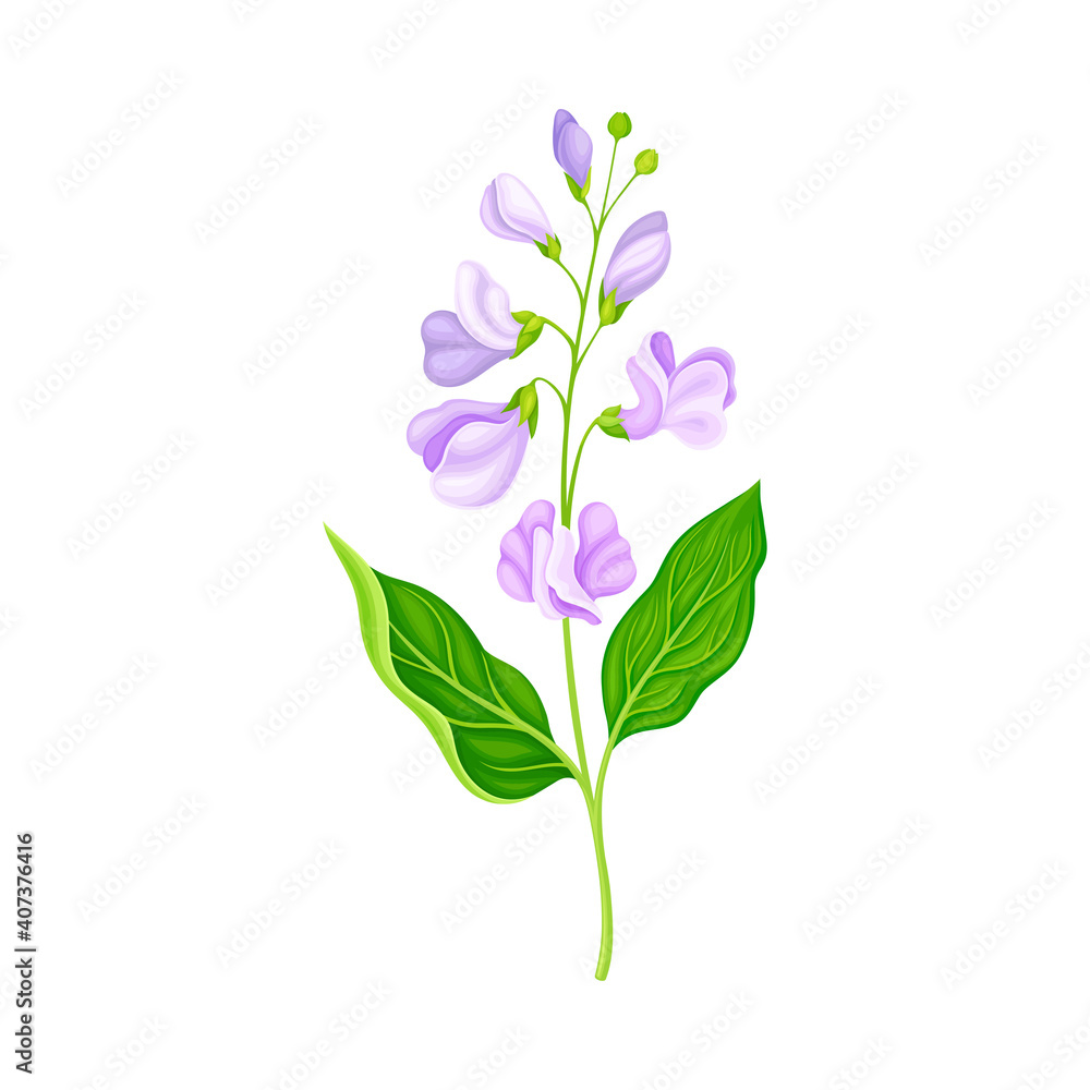 Flower Stem or Stalk with Violet Buds as Meadow or Field Plant Vector Illustration