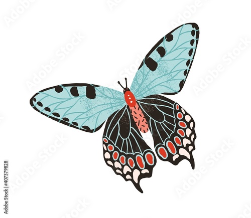 Canvas Print Gorgeous butterfly with pastel wings and antennae isolated on white background
