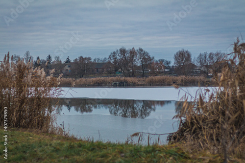 reflection of trees in the water