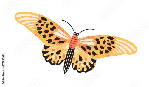 Gorgeous elegant butterfly with bright yellow wings and antennae isolated on white background. Colored beautiful flying moth. Hand drawn flat textured vector illustration