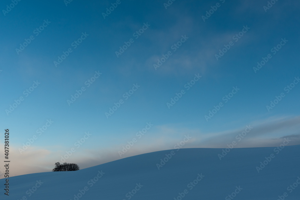 幻想的な美瑛の丘の雪景色