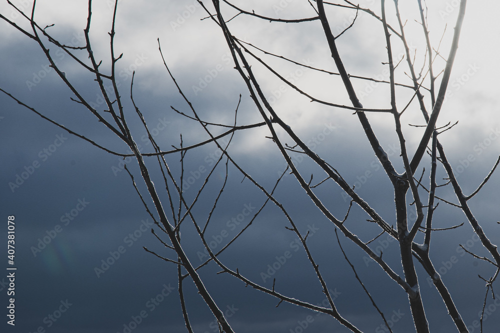 Fototapeta premium 美瑛の丘の冬景色 北海道美瑛町の観光イメージ